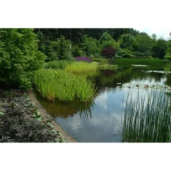 Ecoo Tuin- Of Vijverafboording Ecolat 14 Cm - 10 M Grijs -LA SIESTA Verkoop ecolat 10 m 1484063064 4 600