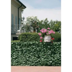 Klimopscherm Kunststof 3 × 1,5 M 7 Klimopscherm Kunststof 3 × 1,5 M -LA SIESTA Verkoop klimopscherm 3 x 15 m 1520163661 2 600