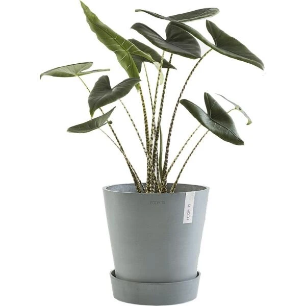 ECOPOTS Amsterdam Onderschotel Op Wielen - Blauwgrijs Ø 41,60 Cm 2 ECOPOTS Amsterdam Onderschotel Op Wielen - Blauwgrijs Ø 41,60 Cm - Afbeelding 2