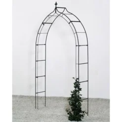 Rozenboog Gotiek - Zwart 120 × 30 × 248 Cm